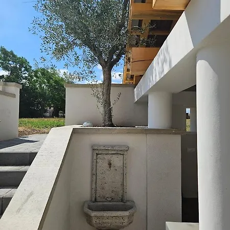 Papoula Vendeghaz -